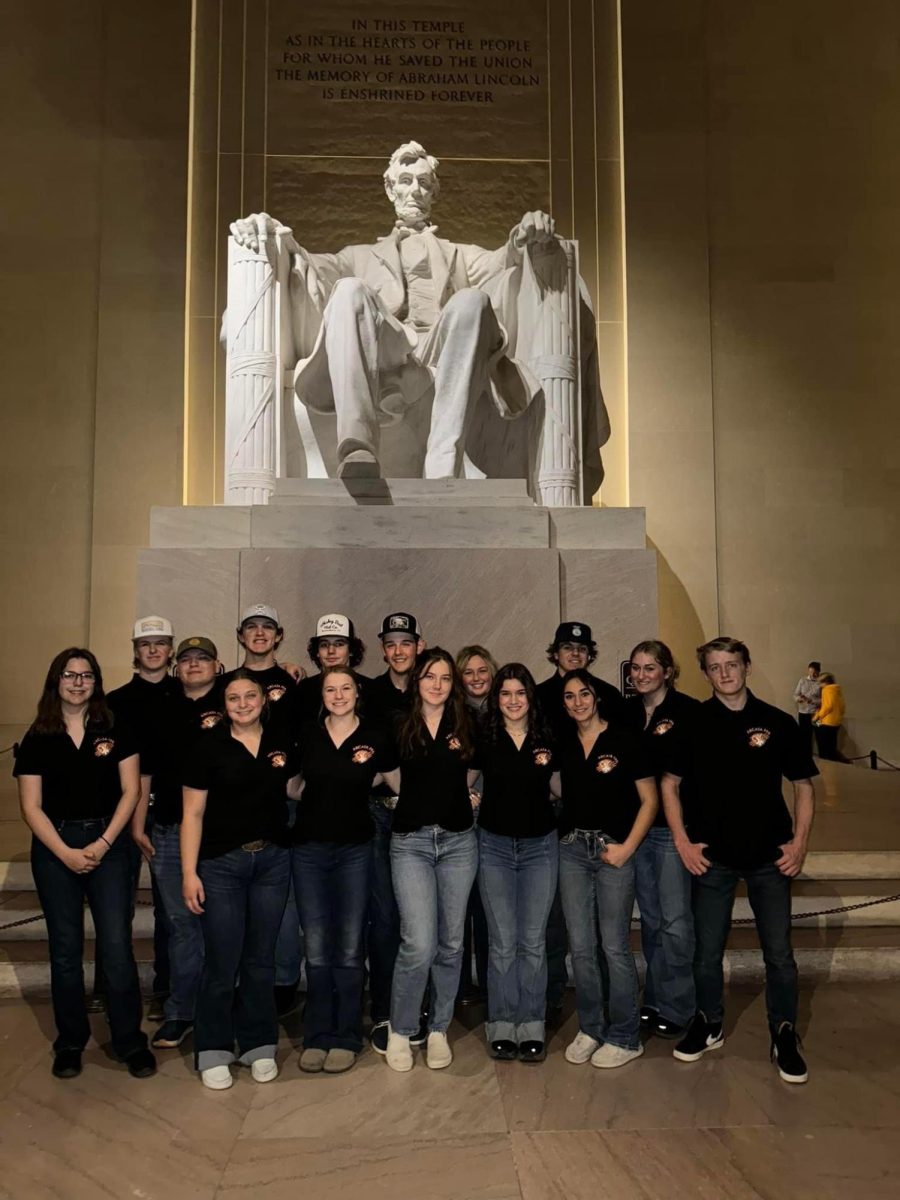 All fifteen trip members in front of the statue in the Lincoln Memorial.