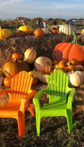 A nice fall day at Huddie's Harvest Pumpkin Patch in Arcata California