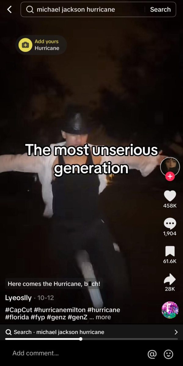 Screenshot of a Tiktok depicting one of the mentioned videos. 