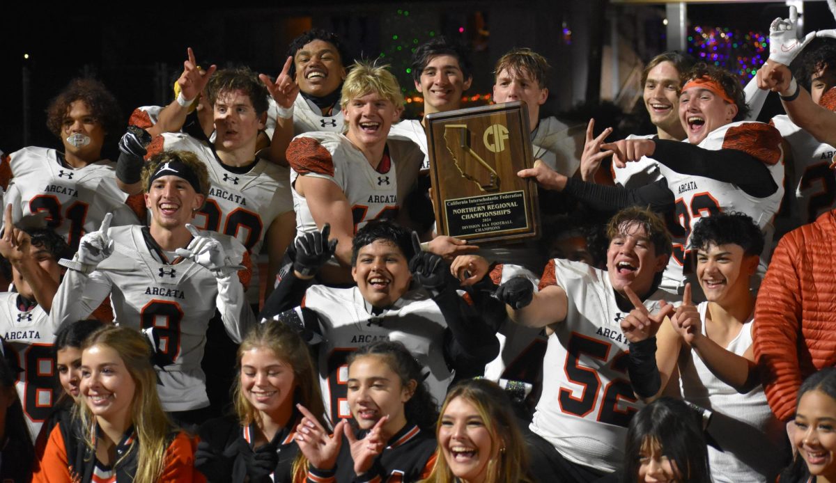 Tigers celebrate win