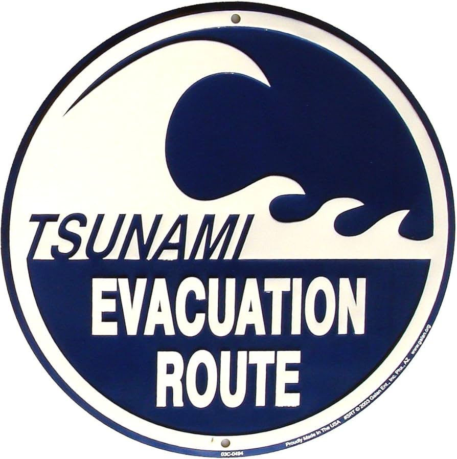 Tsunami warning chaos