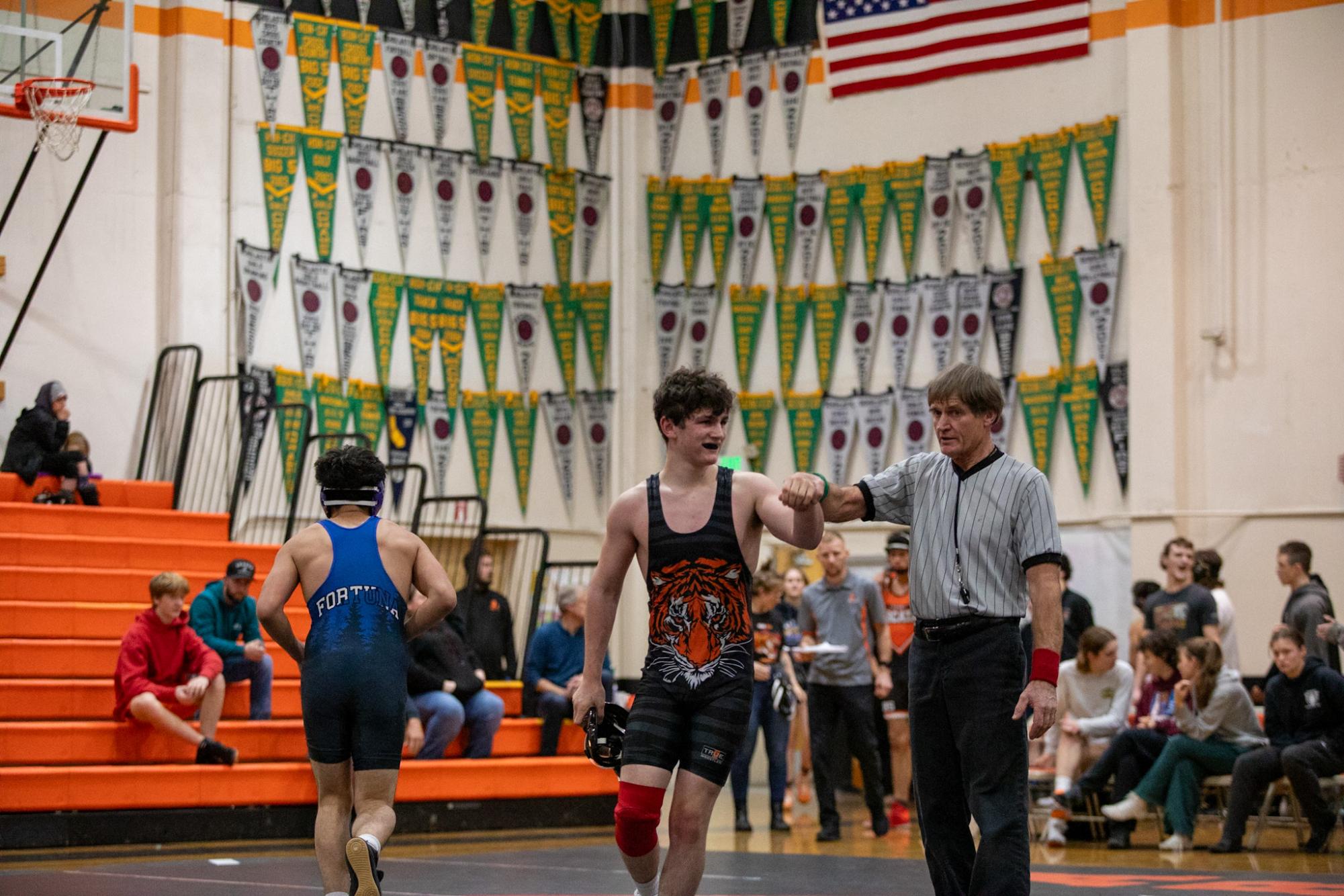 AHS wrestling leads in county rankings