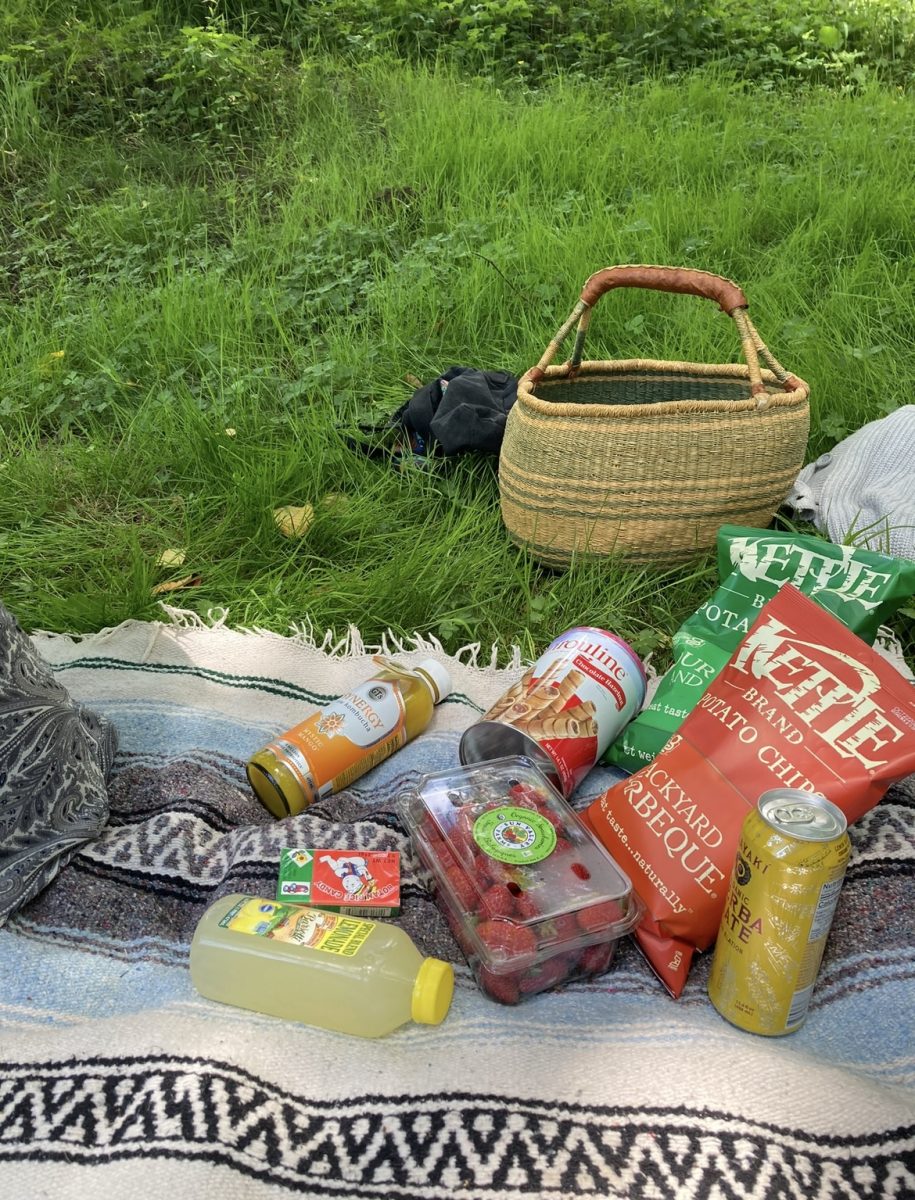 Picnic snacks on a sunny day