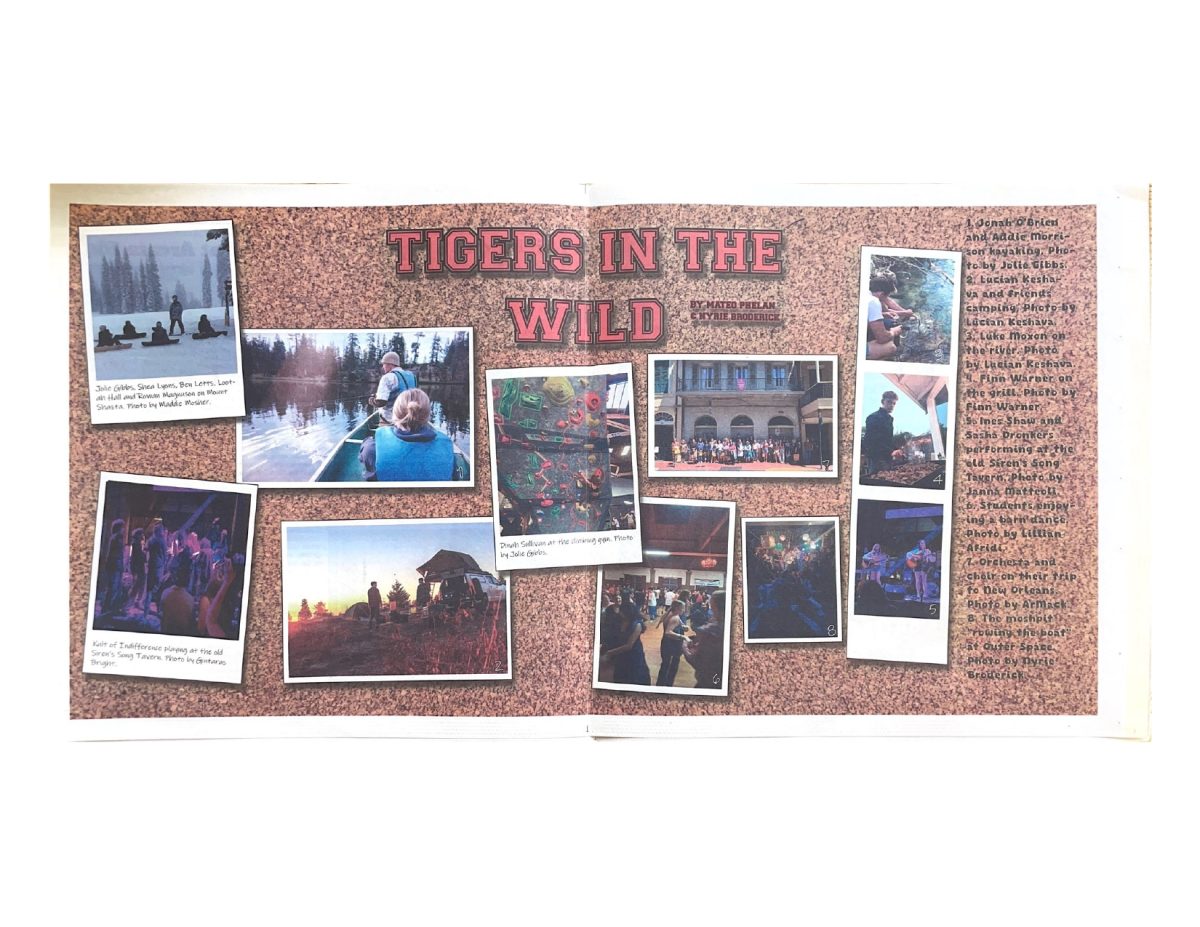 Issue 6: Center Spread