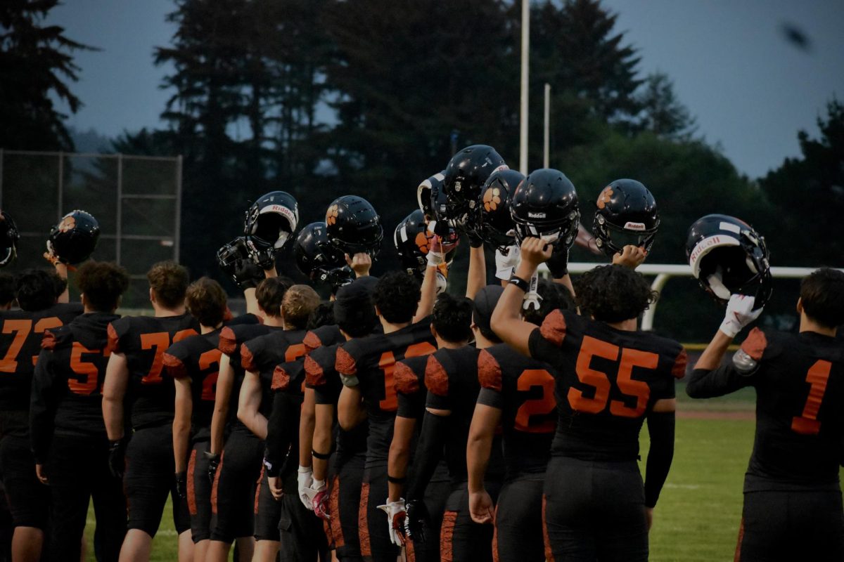 Tigers during the National Anthem 