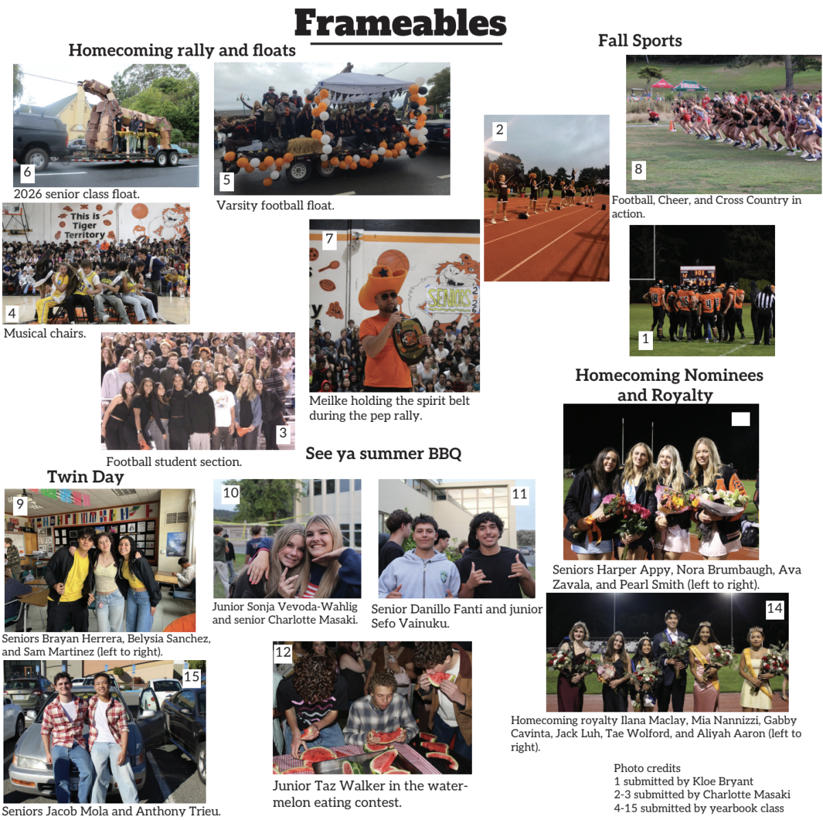 Frameables