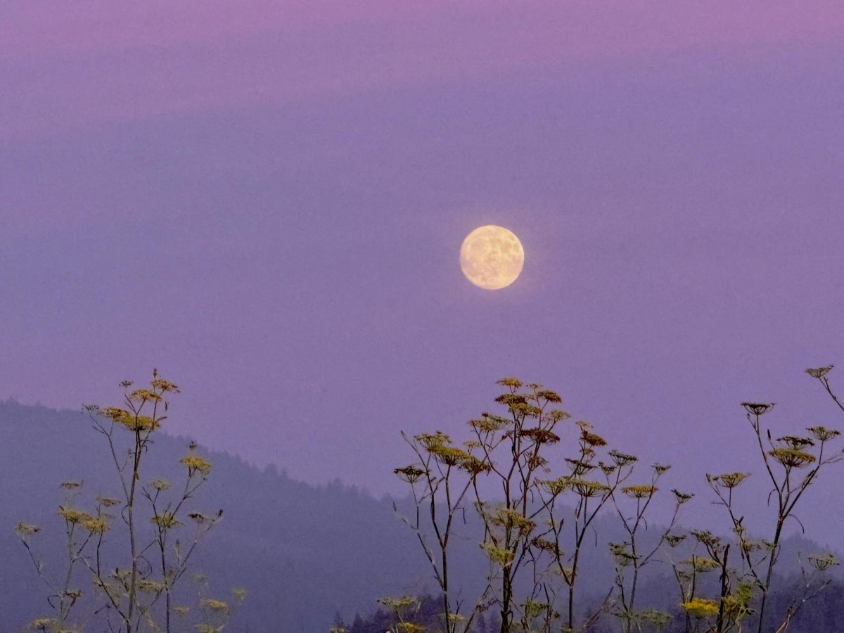 The last supermoon of the year: photographed rising over Arcata, CA 
