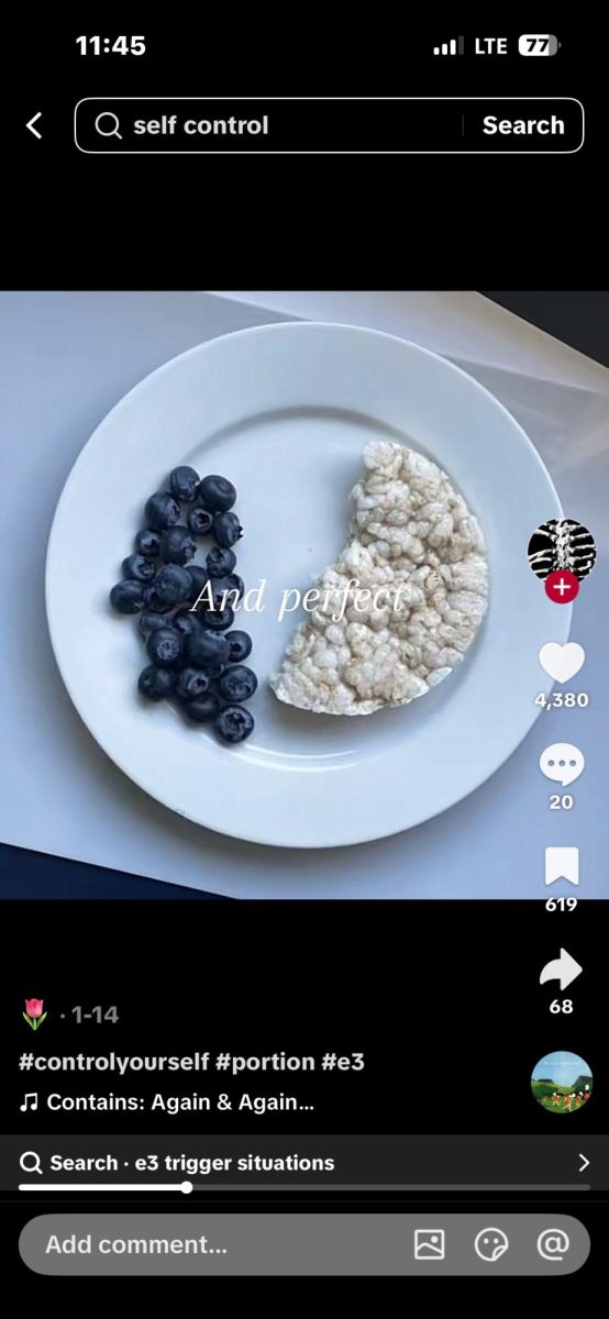 A calorie restricting meal, trending among eating disorder TikToks 