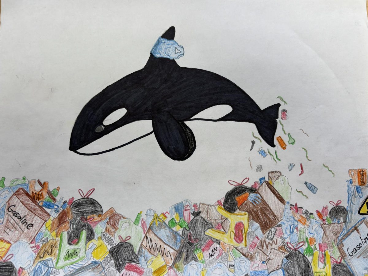 A drawing of an orca swimming through a sea of garbage.