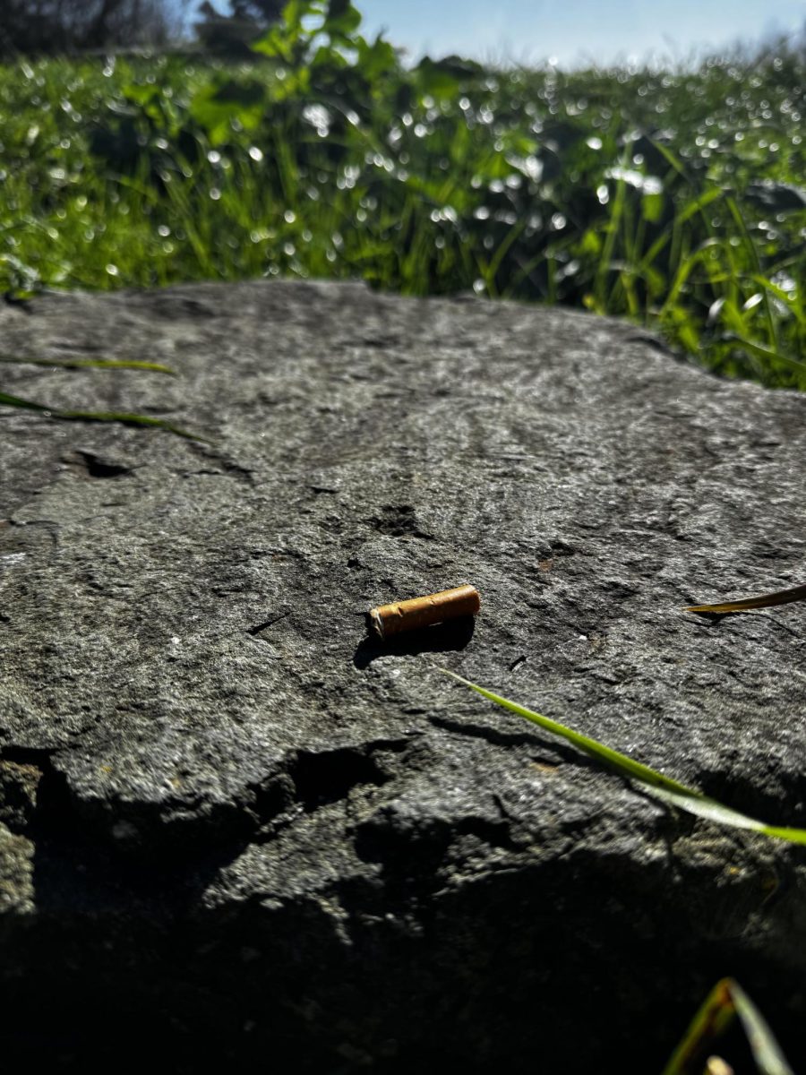 Litter