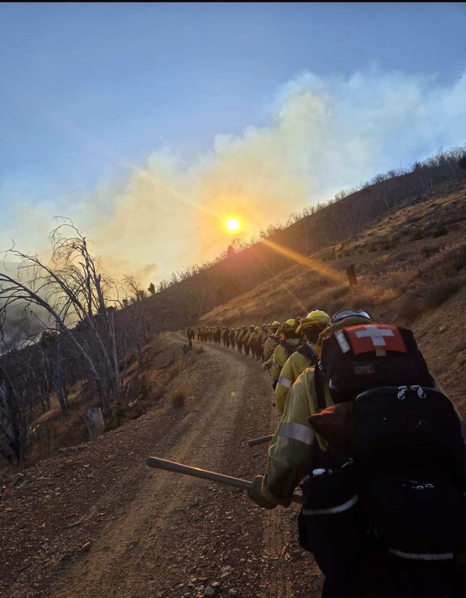 Cal-Fire preforming an exercise.