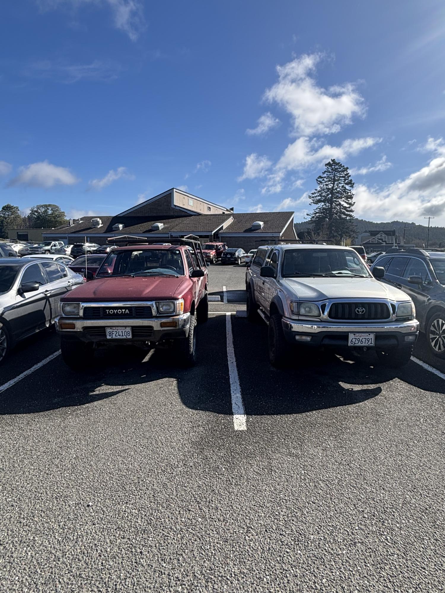 Tiger Chariot: Tacoma's