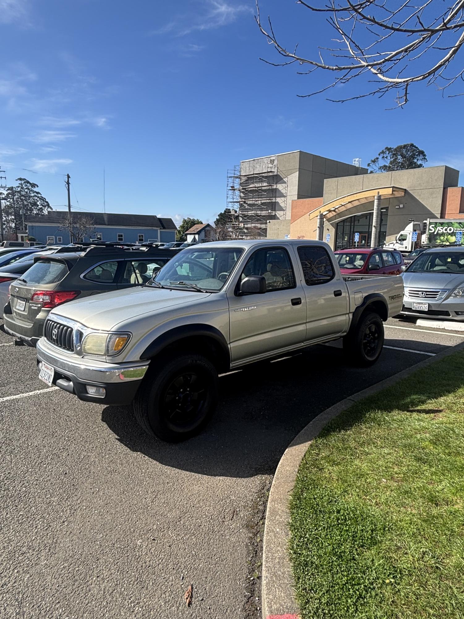 Tiger Chariot: Tacoma's