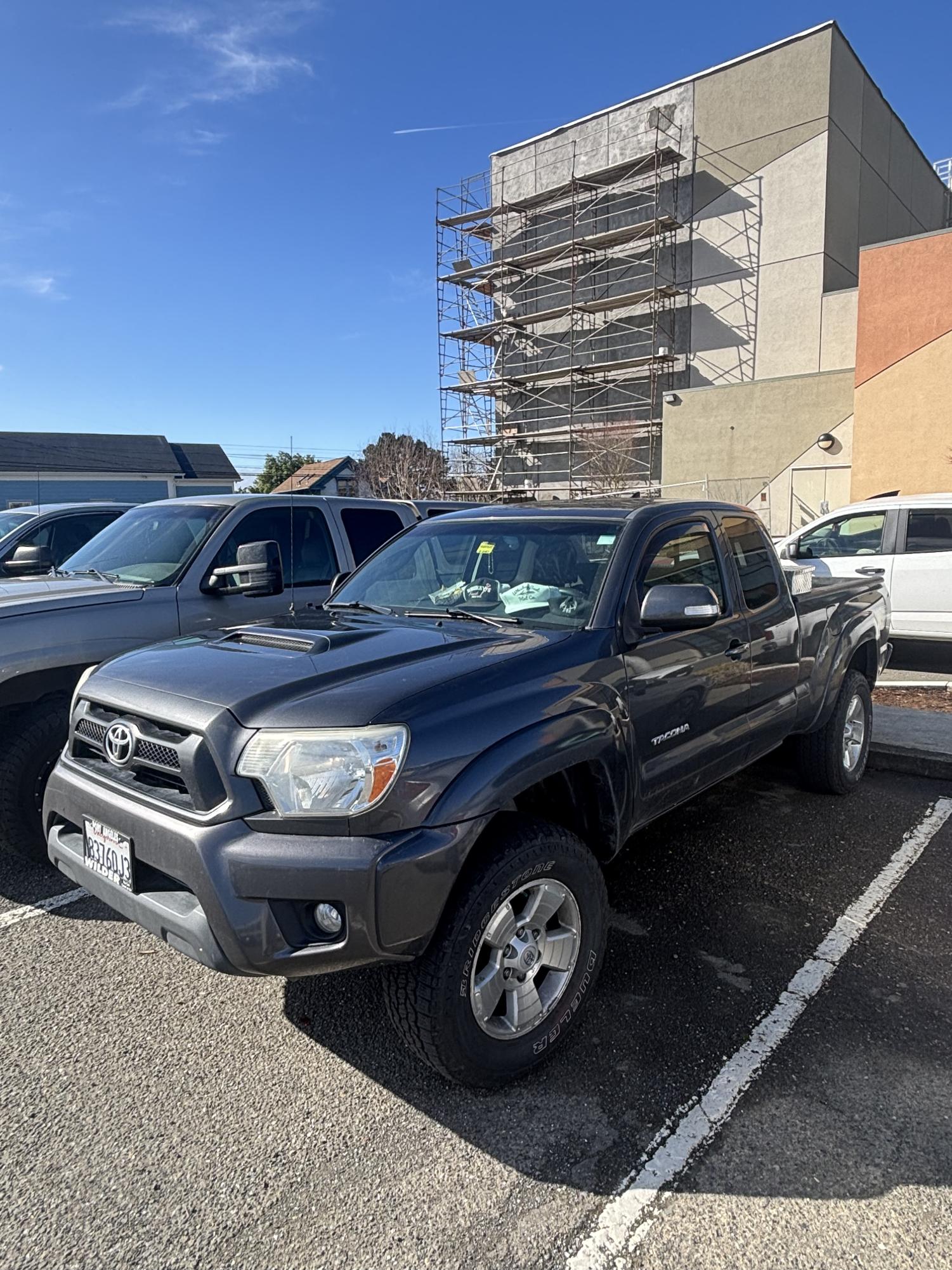 Tiger Chariot: Tacoma's
