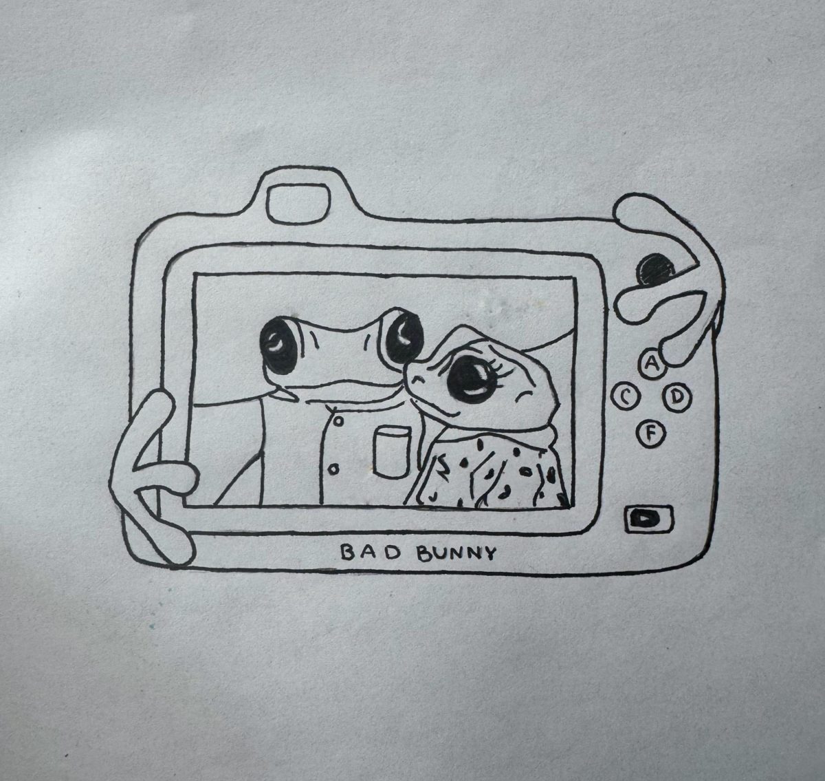 Dibujo de dos ranas, símbolos del artista, en la pantalla de una cámara.