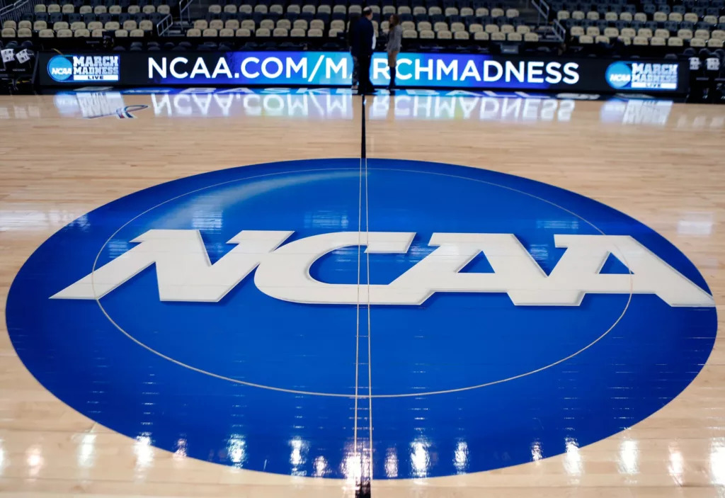 Picture of the court being set up 