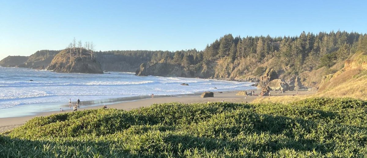 Trinidad State Beach