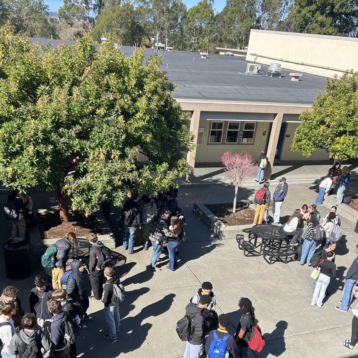 Students with their friend groups at the quad.