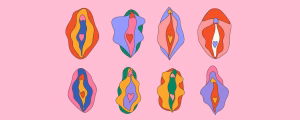 Boys learn, girls guess: The pleasure gap
