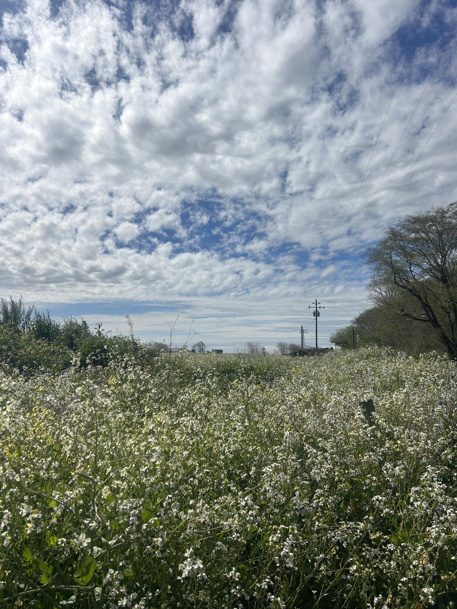 Students spring into summer