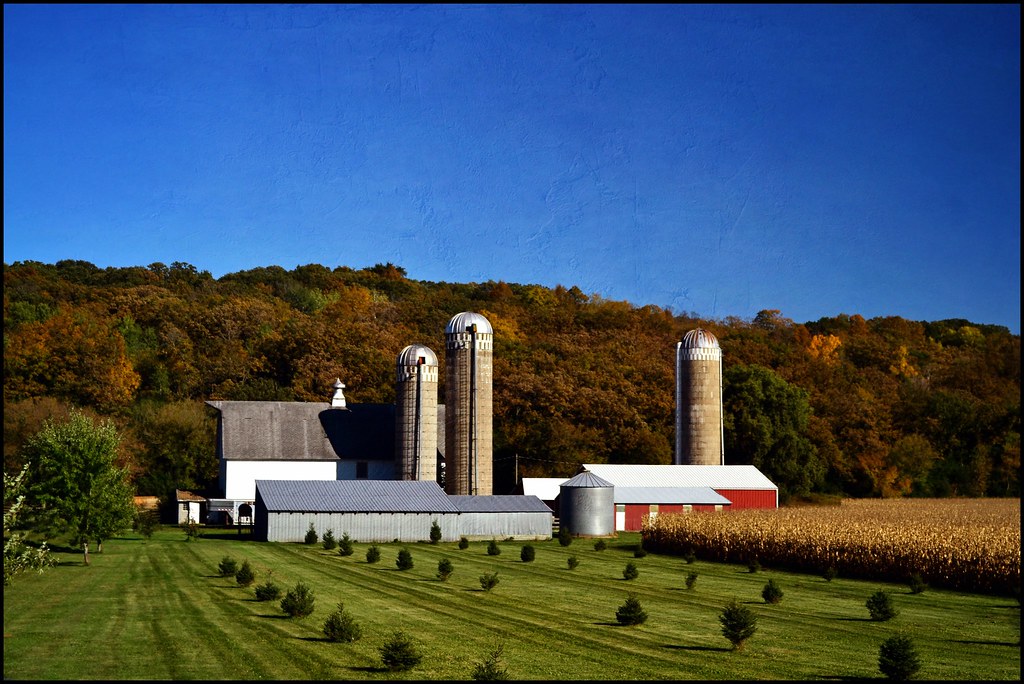 A picture of a farm.