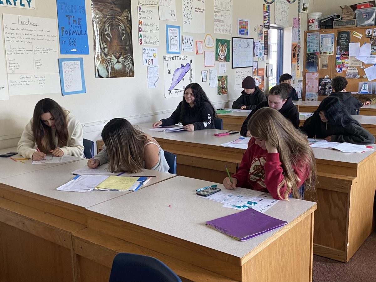 Students eager to learn.