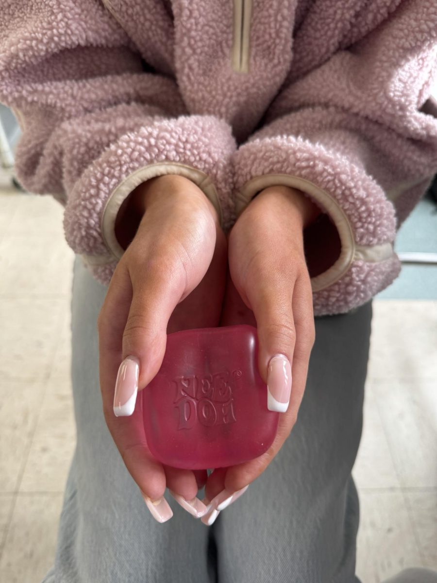 Pink ice cube NeeDoh