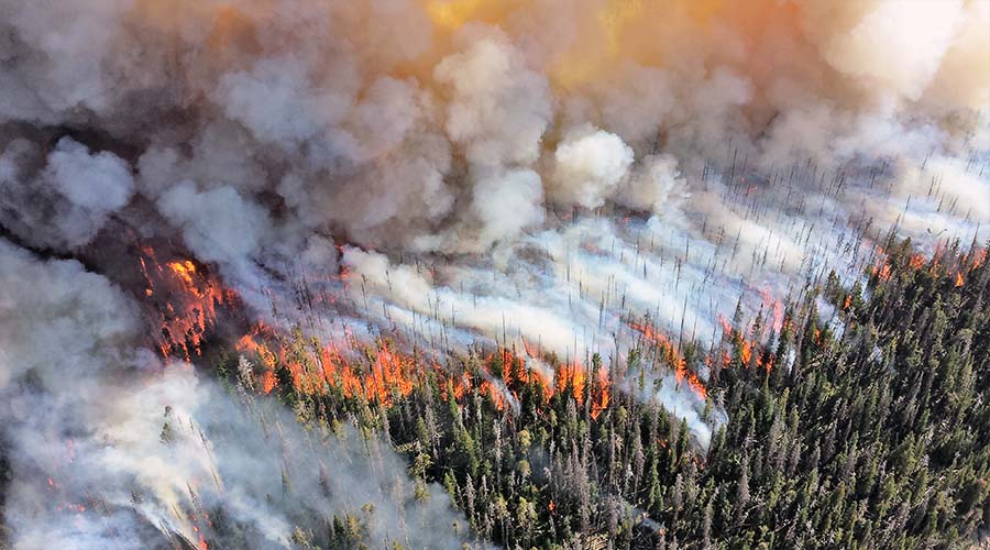 Picture of Native American controlled burning.