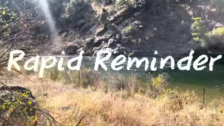Rapid reminder