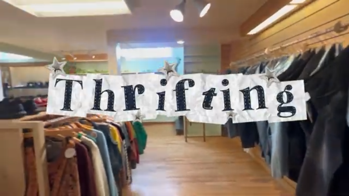 Thrifting image