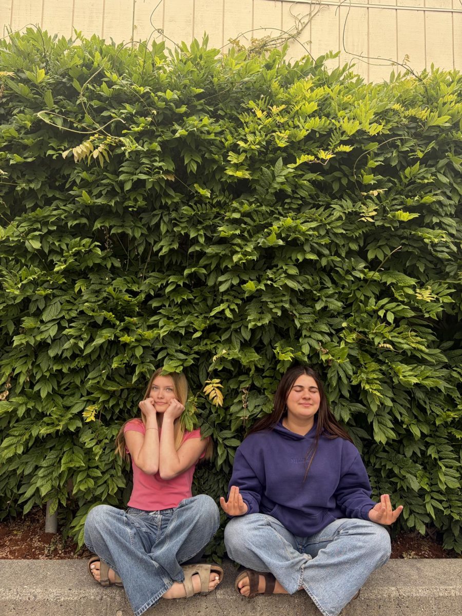 AHS students practicing meditation at school.